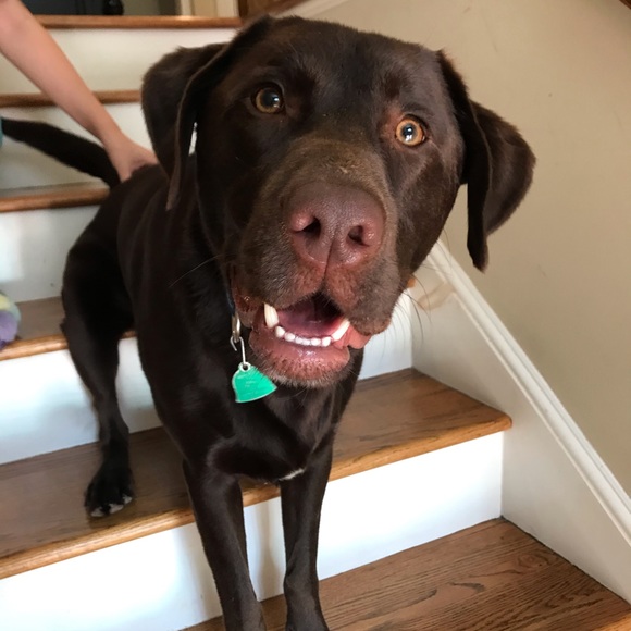 I would love to get to know you and say hi!🌻 - Picture 9 of 16